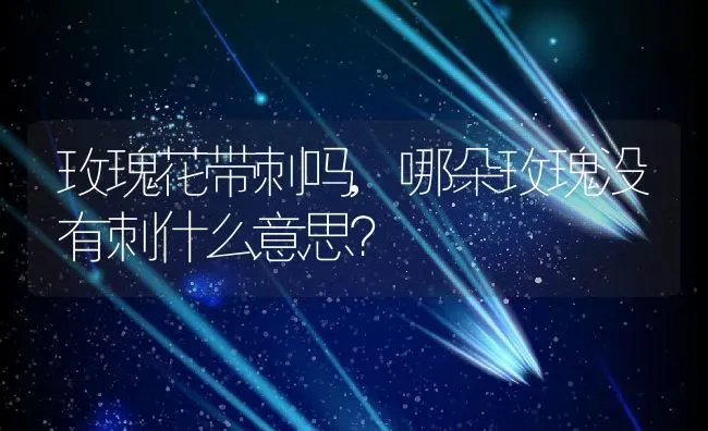 玫瑰花带刺吗,哪朵玫瑰没有刺什么意思？ | 养殖常见问题