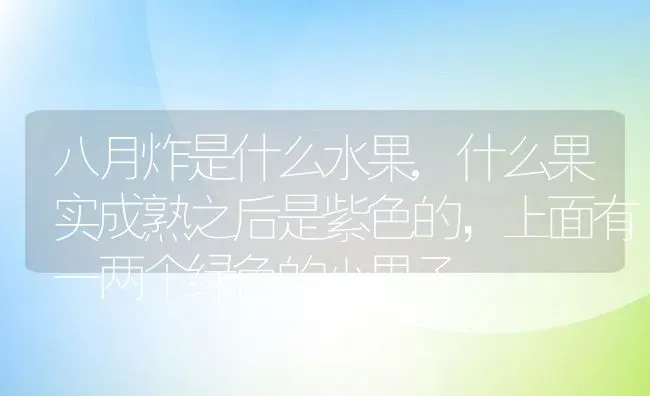 八月炸是什么水果,什么果实成熟之后是紫色的，上面有一两个绿色的小果子 | 养殖常见问题