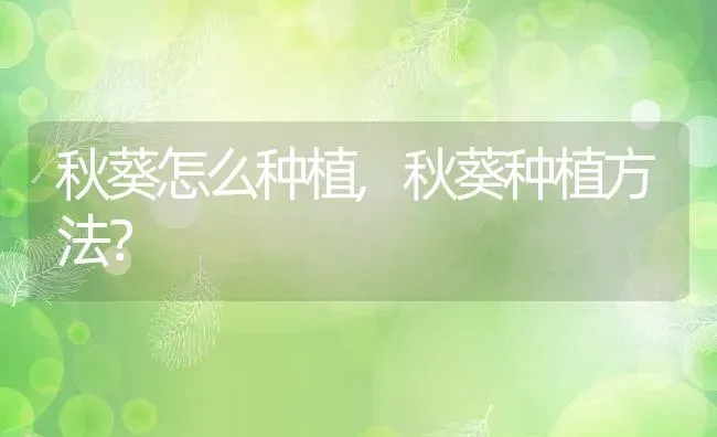 秋葵怎么种植,秋葵种植方法？ | 养殖常见问题