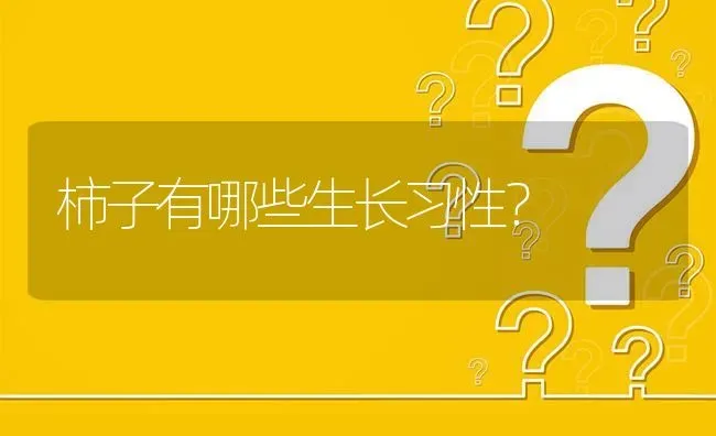 柿子有哪些生长习性? | 养殖问题解答
