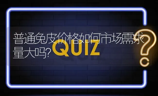 普通兔皮价格如何市场需求量大吗? | 养殖问题解答