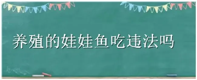 养殖的娃娃鱼吃违法吗 | 生活常识