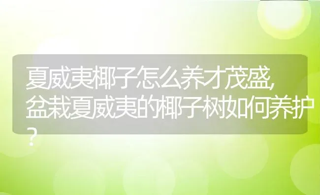 夏威夷椰子怎么养才茂盛,盆栽夏威夷的椰子树如何养护？ | 养殖常见问题