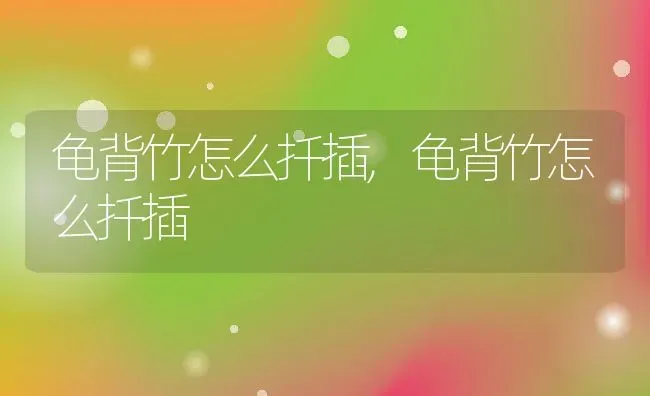 龟背竹怎么扦插,龟背竹怎么扦插 | 养殖常见问题