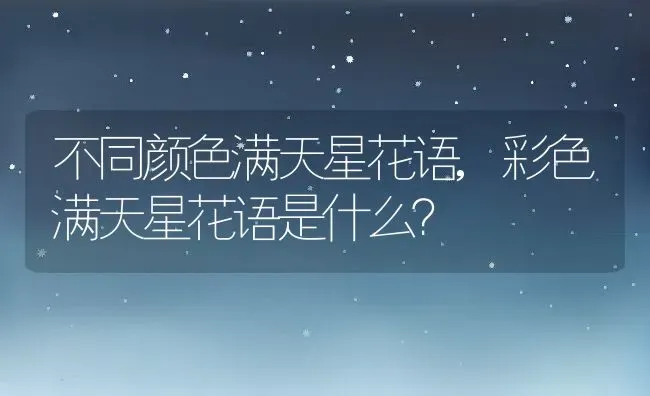 不同颜色满天星花语,彩色满天星花语是什么？ | 养殖常见问题