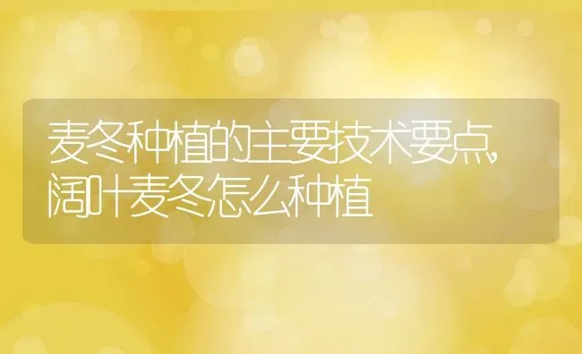 麦冬种植的主要技术要点,阔叶麦冬怎么种植 | 养殖常见问题