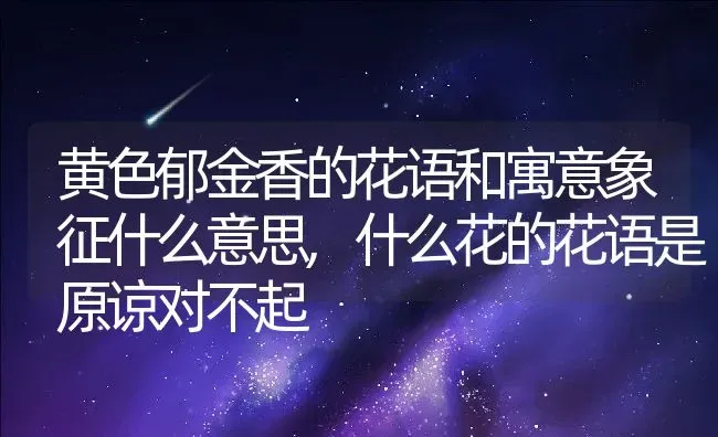 汽车toyota什么意思,丰田标志有什么含义？ | 养殖常见问题