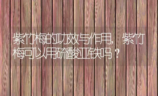 紫竹梅的功效与作用,紫竹梅可以用硫酸亚铁吗？ | 养殖常见问题