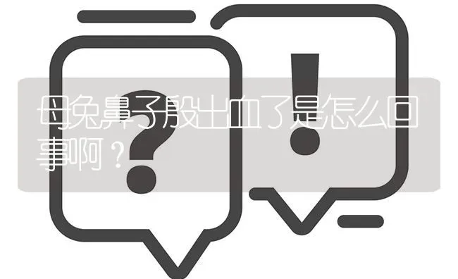 母兔鼻子殷出血了是怎么回事啊? | 养殖问题解答