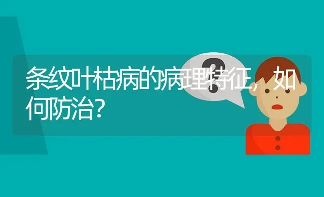 条纹叶枯病的病理特征,如何防治? | 养殖问题解答