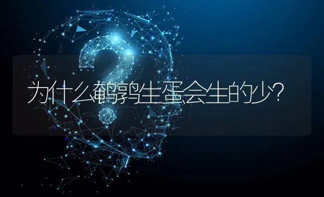 为什么鹌鹑生蛋会生的少? | 养殖问题解答