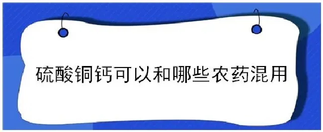 硫酸铜钙可以和哪些农药混用 | 三农答疑