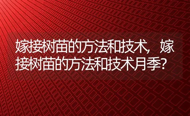 嫁接树苗的方法和技术,嫁接树苗的方法和技术月季？ | 养殖常见问题