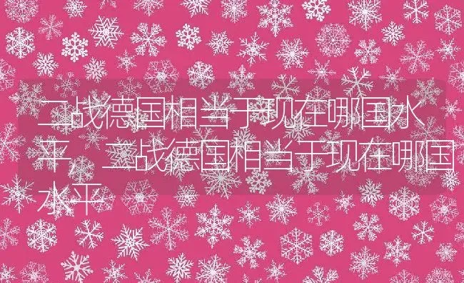 二战德国相当于现在哪国水平,二战德国相当于现在哪国水平 | 养殖常见问题