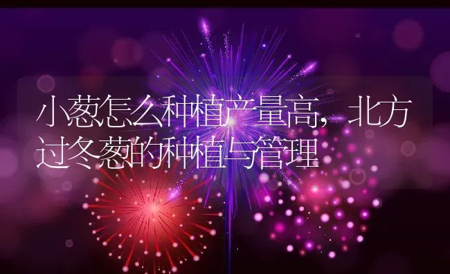 地柏的养殖方法和注意事项,地柏盆景怎么养？ | 养殖常见问题