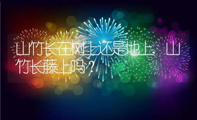 山竹长在树上还是地上,山竹长藤上吗？ | 养殖常见问题