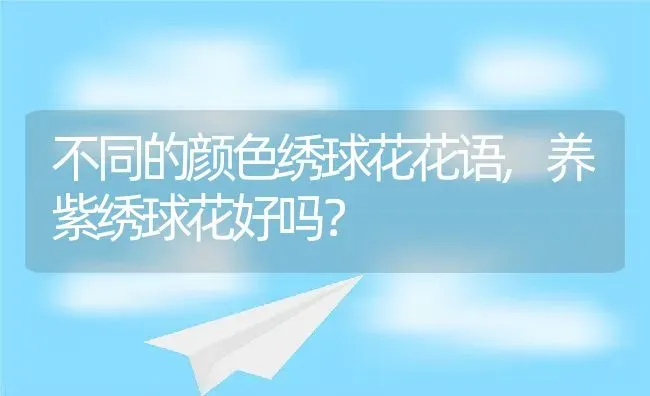 不同的颜色绣球花花语,养紫绣球花好吗？ | 养殖常见问题