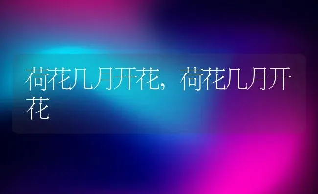 荷花几月开花,荷花几月开花 | 养殖常见问题