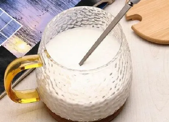 植物常识问题|多肉植物用什么养叶子越长越胖