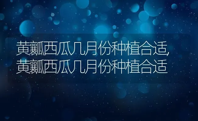 黄瓤西瓜几月份种植合适,黄瓤西瓜几月份种植合适 | 养殖常见问题