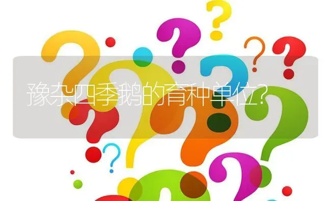 豫杂四季鹅的育种单位? | 养殖问题解答