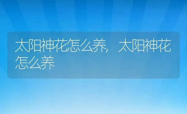 太阳神花怎么养,太阳神花怎么养 | 养殖常见问题