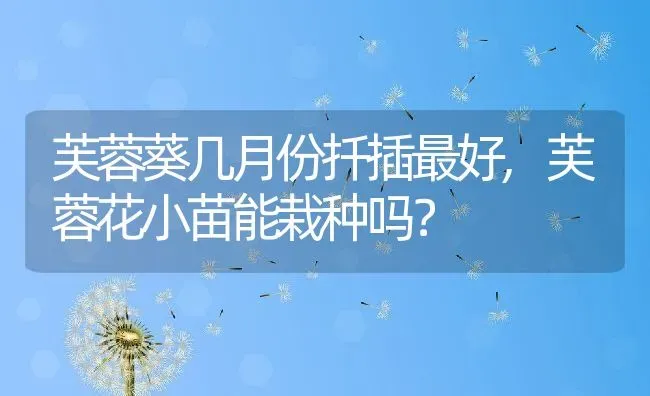 芙蓉葵几月份扦插最好,芙蓉花小苗能栽种吗？ | 养殖常见问题