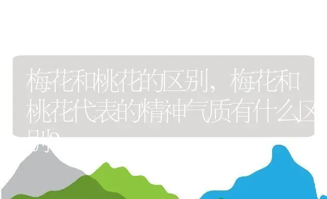 梅花和桃花的区别,梅花和桃花代表的精神气质有什么区别？ | 养殖常见问题