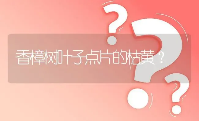 香樟树叶子点片的枯黄? | 养殖问题解答