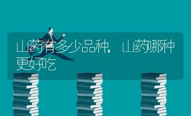 百香果是什么水果,百香果的应用范围 | 养殖常见问题