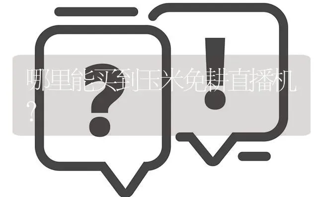 哪里能买到玉米免耕直播机? | 养殖问题解答