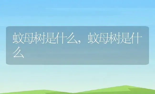 蚊母树是什么,蚊母树是什么 | 养殖常见问题