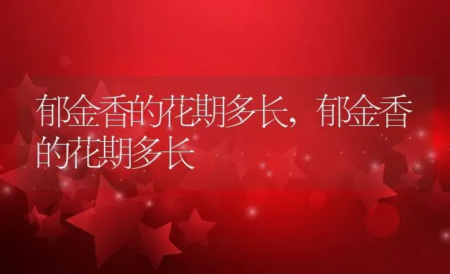 郁金香的花期多长,郁金香的花期多长 | 养殖常见问题