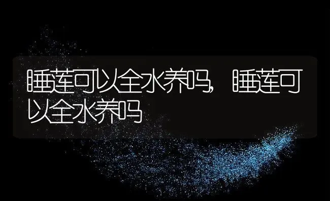 睡莲可以全水养吗,睡莲可以全水养吗 | 养殖常见问题