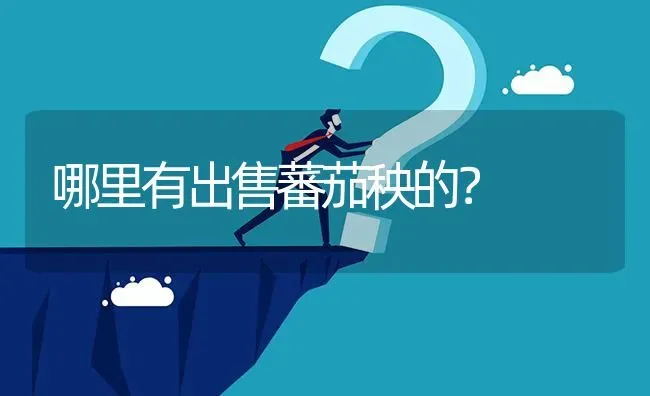 哪里有出售蕃茄秧的? | 养殖问题解答