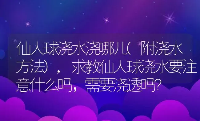 仙人球浇水浇哪儿(附浇水方法),求教仙人球浇水要注意什么吗，需要浇透吗？ | 养殖常见问题