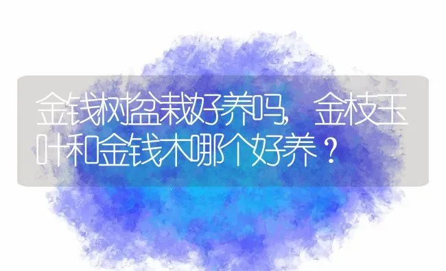 金钱树盆栽好养吗,金枝玉叶和金钱木哪个好养？ | 养殖常见问题