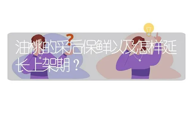 油桃的采后保鲜以及怎样延长上架期? | 养殖问题解答