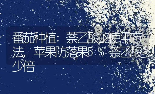 番茄种植:萘乙酸的使用方法,苹果防落果5%萘乙酸多少倍 | 养殖常见问题