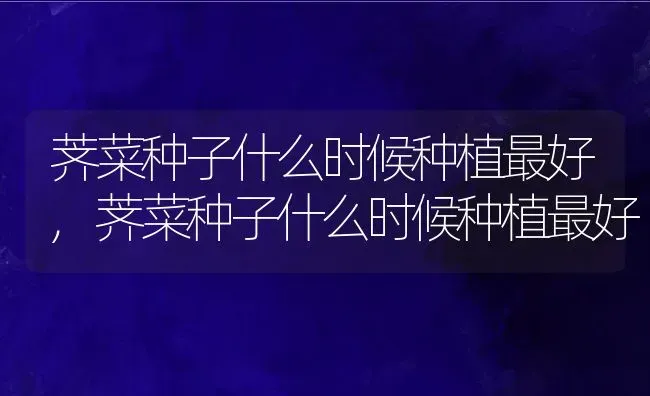 荠菜种子什么时候种植最好,荠菜种子什么时候种植最好 | 养殖常见问题