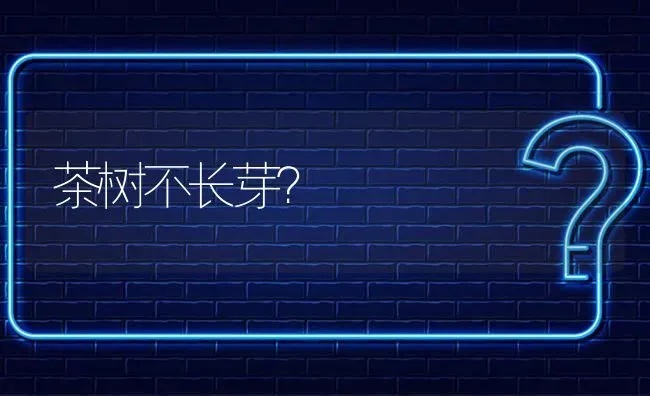 茶树不长芽? | 养殖问题解答