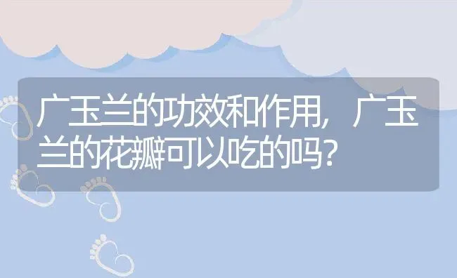 广玉兰的功效和作用,广玉兰的花瓣可以吃的吗？ | 养殖常见问题