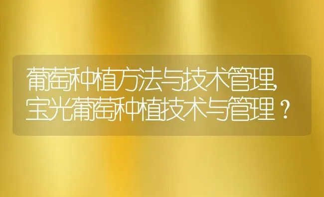 葡萄种植方法与技术管理,宝光葡萄种植技术与管理？ | 养殖常见问题