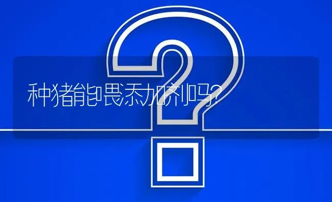 种猪能喂添加剂吗? | 养殖问题解答