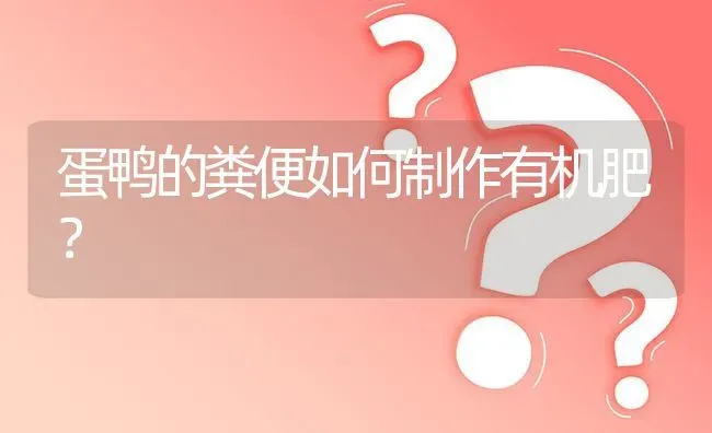 蛋鸭的粪便如何制作有机肥? | 养殖问题解答