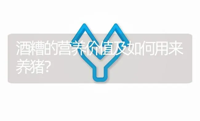酒糟的营养价值及如何用来养猪? | 养殖问题解答