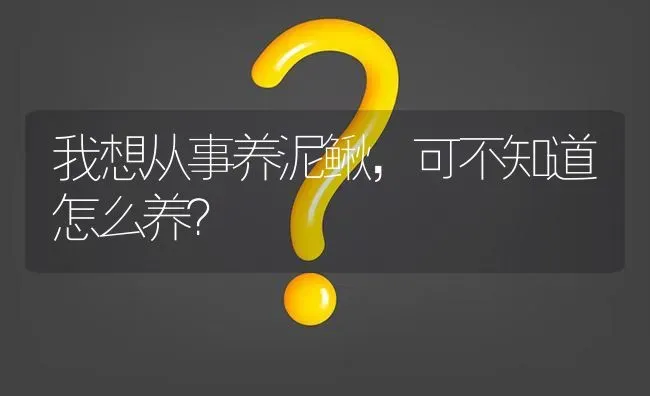 我想从事养泥鳅,可不知道怎么养? | 养殖问题解答