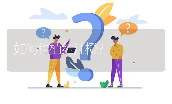 如何种植红江橙? | 养殖问题解答