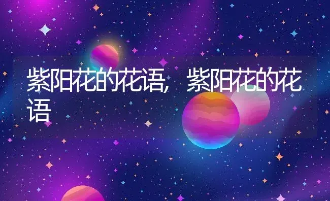 紫阳花的花语,紫阳花的花语 | 养殖常见问题