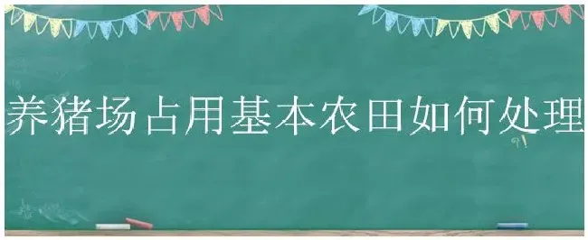 养猪场占用基本农田如何处理 | 农业答疑